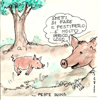 CLICCAMI PER INGRANDIRMI