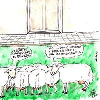 CLICCAMI PER INGRANDIRMI